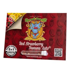Semillas Red Strawberry Banana Auto Sweet Seeds autoflorecientes – Malibú Hemp
