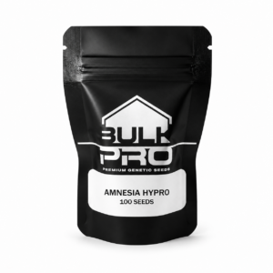 Bulk Pro Amnesia Hypro semillas premium híbridas de alta producción y flores compactas