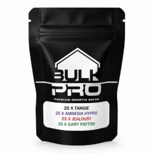 Bulk Pro Bulk Mix Fem mix de semillas feminizadas premium con Tangie, Amnesia Hypro, Jealousy y Gary Payton