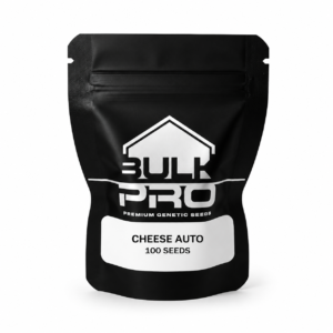 Bulk Pro Cheese Auto semillas autoflorecientes premium de rápida cosecha y alta calidad