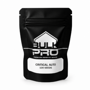 Bulk Pro Critical Auto semillas autoflorecientes premium de rápida cosecha y alta producción