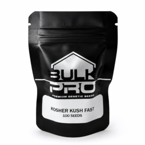 Bulk Pro Kosher Kush Fast semillas premium índica de rápida floración y alta producción