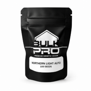 Bulk Pro Northern Light Auto semillas autoflorecientes premium de alta resina y rápida cosecha