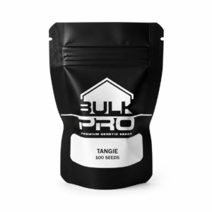 Bulk Pro Tangie semillas premium híbridas de aroma a mandarina y alta producción