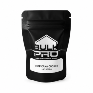 Bulk Pro Tropicana Cookies semillas premium híbridas de aroma cítrico y alta producción
