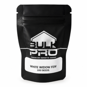 Bulk Pro White Widow Feminizada semillas premium de alta producción y abundante resina